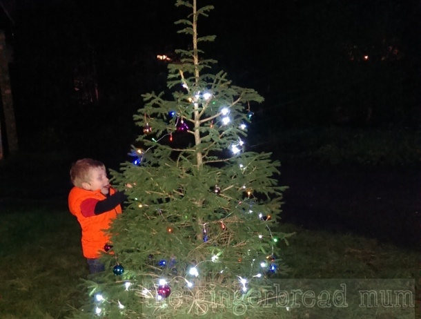 Very happily decorating our outside Christmas tree